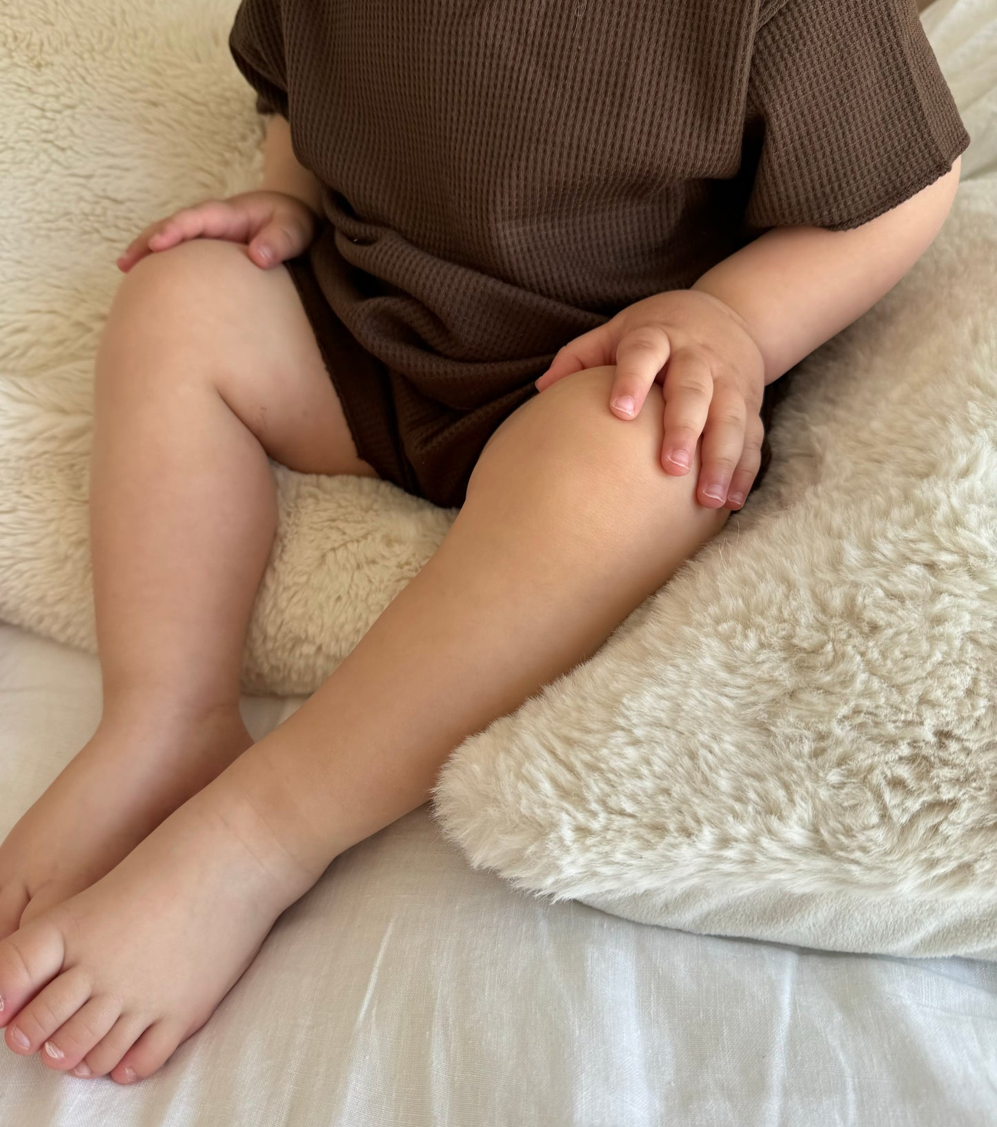 Ensemble - LEO - Marron