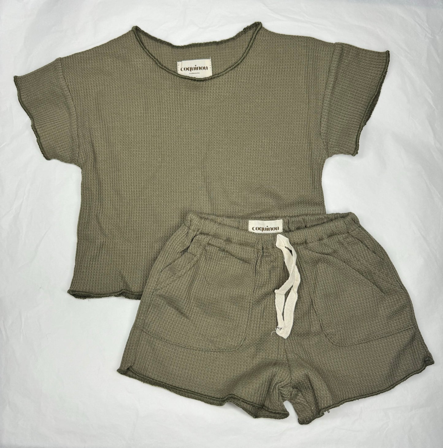 Ensemble - LEO - Vert