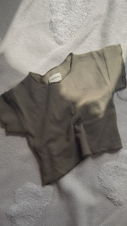 Ensemble - LEO - Vert